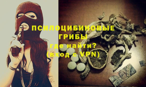 молекула духа Алзамай