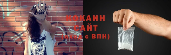 кокс Алексин