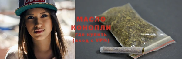 индика Абаза