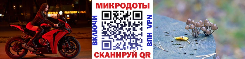 сколько стоит  Иланский  KRAKEN   Галлюциногенные грибы ЛСД 